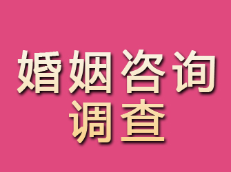 金山屯婚姻咨询调查